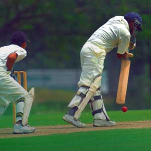 Cricket pitch with bowling machine