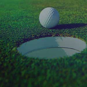 Virtual golf simulator