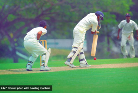 Cricket pitch with bowling machine