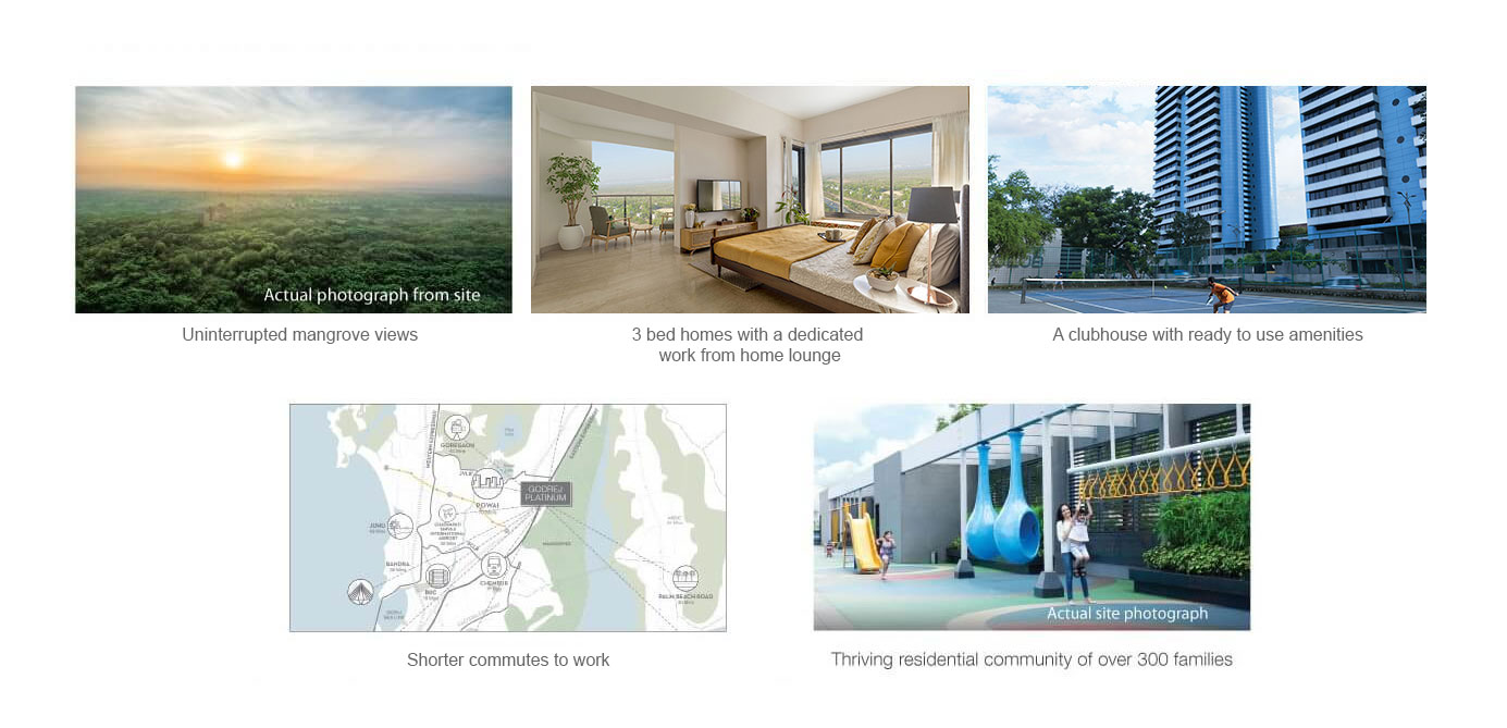 The Platinum Privileges